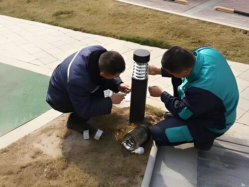 公园中式草坪灯改造案例：老旧园区绿化照明升级交付报告案例实拍图