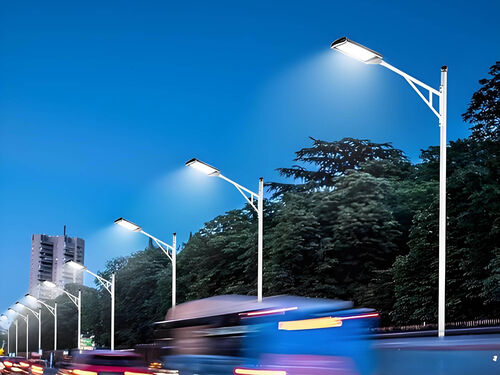 5 米高 LED 道路灯 小区主干道车行通道照明现货整体外观 | 通用型结构 | 水利设备整体结构展示