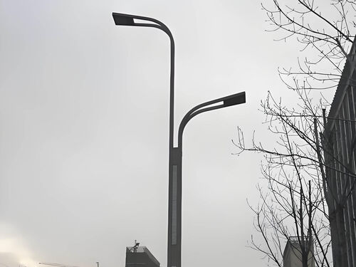 农村 LED 道路灯改造 3 米单臂款 乡村亮化厂家直供整体外观 | 通用型结构 | 水利设备整体结构展示