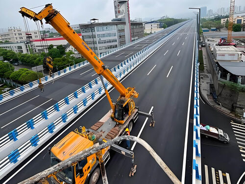 80W 防爆隧道路灯案例：XX 隧道施工安全照明项目测评报告整体外观 | 通用型结构 | 道路灯整体结构展示