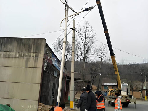 智能 LED 农村道路灯案例：XX 村光控时控照明系统安装实录整体外观 | 时控供电 | 道路灯整体结构展示