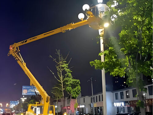 单臂高杆 LED 国道路灯案例：XX 省道夜间行车照明升级纪实整体外观 | 通用型结构 | 道路灯整体结构展示