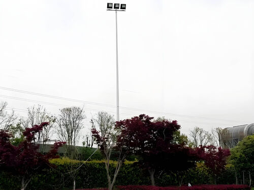 25 米防爆高杆灯 化工厂油库专用 源头工厂 品质过硬整体外观 | 通用型结构 | 高杆灯整体结构展示