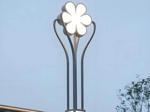 复古景观灯 古镇景区中式风格绿化亮化定制款实物图