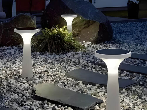 学校景观灯安全接地安装步骤 校园亮化防雷施工要求整体外观 | 通用型结构 | 景观灯整体结构展示