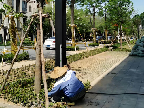 户外太阳能景观灯案例：新农村文化广场亮化工程分享