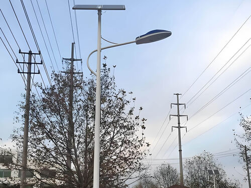 30W 光伏太阳能路灯 5 米 公园小区户外路灯整体外观 | 通用型结构 | 水利设备整体结构展示