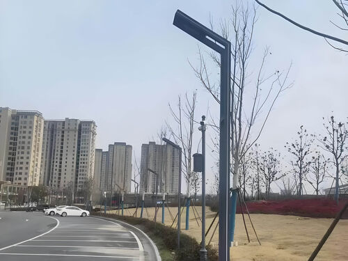 太阳能路灯生产厂家 风光互补 / 一体 / 智能款 全规格定制产品实物图