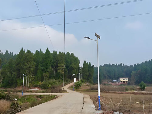 花坛太阳能中华灯 公园绿化区域装饰照明灯具整体外观 | 通用型结构 | 水利设备整体结构展示