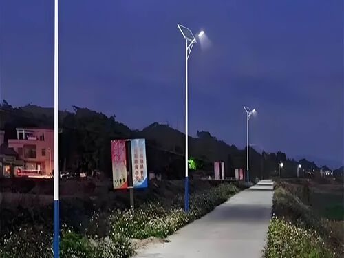 老旧城区改造路灯选型：替换传统钠灯，LED 路灯功率与照度匹配方案整体外观 | 通用型结构 | 路灯整体结构展示