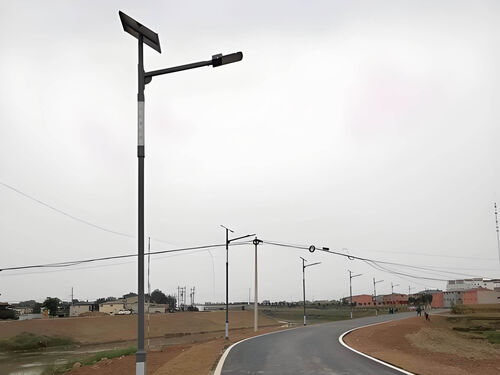 6 米太阳能中华灯 小区广场景观亮化免布线灯具实物图