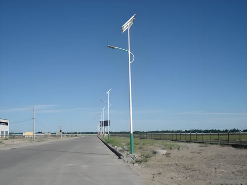 多功能太阳能景观灯 庭院照明 + 装饰一体两用款整体外观 | 通用型结构 | 水利设备整体结构展示