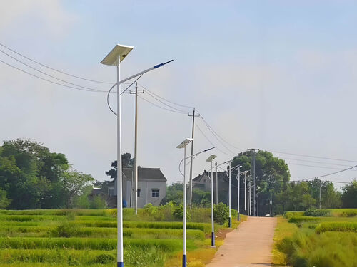 户外太阳能景观灯 公园小区绿化亮化专用防水款实物图