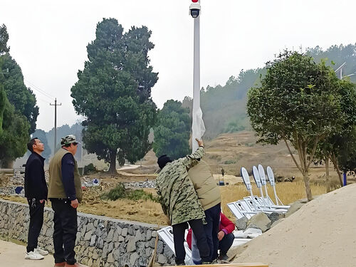 10 米大型景观灯合作案例：市政主干道亮化工程交付实录整体外观 | 通用型结构 | 景观灯整体结构展示