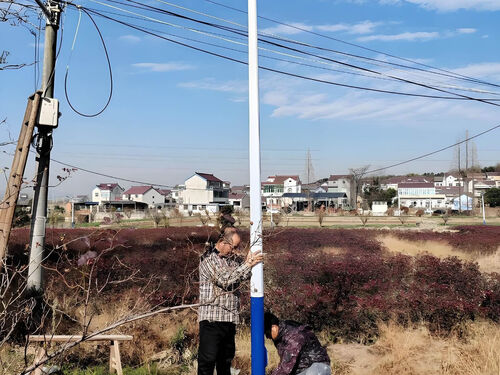 200W 大功率太阳能路灯应用案例 港口码头高亮度照明工程整体外观 | 太阳能供电 | 太阳能路灯整体结构展示
