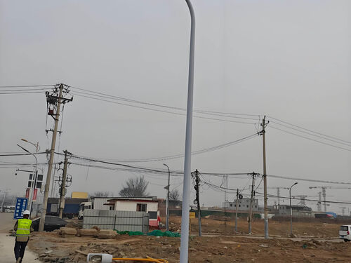 小区绿化景观灯改造案例：老旧社区夜间照明升级验收报告案例实拍图