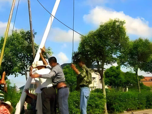 小型家用太阳能路灯成功案例 农户庭院零电费照明改造实录整体外观 | 太阳能供电 | 太阳能路灯整体结构展示