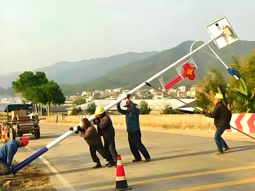 6 米 100W 大功率太阳能路灯案例 乡村公路夜间安全照明方案整体外观 | 太阳能供电 | 太阳能路灯整体结构展示