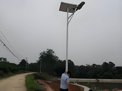 5 米欧式景观灯安装案例:小区庭院绿化亮化验收效果整体外观 | 通用型结构 | 景观灯整体结构展示