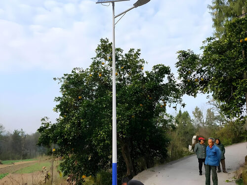 雕塑景观灯设计案例：城市公园艺术主题亮化项目展示整体外观 | 通用型结构 | 景观灯整体结构展示