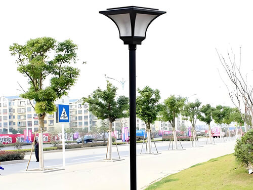 3 米厂区庭院灯 中山 LED 节能户外路灯现货价格产品实物图