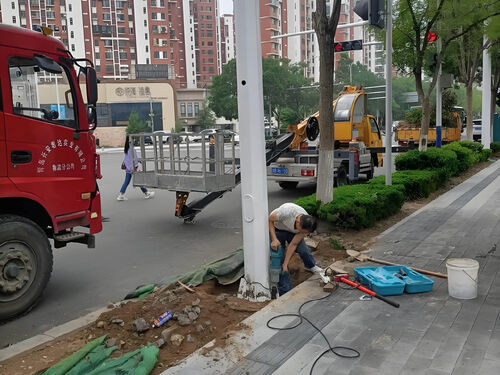 别墅 LED 庭院灯智能改造案例：远程调光控制技术落地效果整体外观 | 智能供电 | 庭院灯整体结构展示