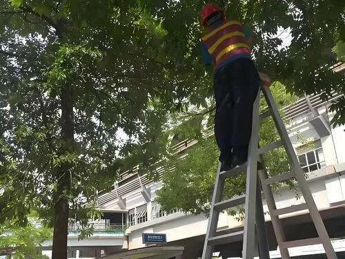 小区庭院灯改造招标案例:技术参数编写与中标方案解析整体外观 | 通用型结构 | 庭院灯整体结构展示