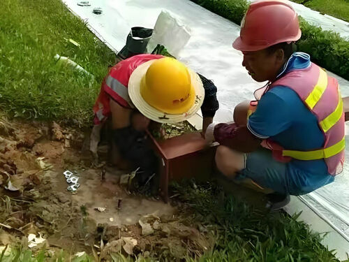 20W 庭院太阳能路灯安装案例 别墅花园装饰照明实景分享整体外观 | 太阳能供电 | 太阳能路灯整体结构展示