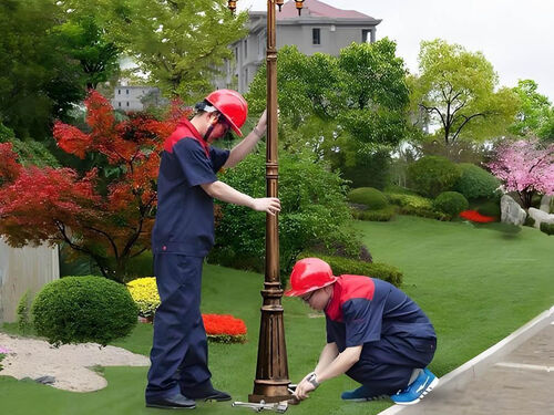 太阳能 vs 市电庭院灯成本对比案例：乡村亮化工程 3 年投入分析案例实拍图