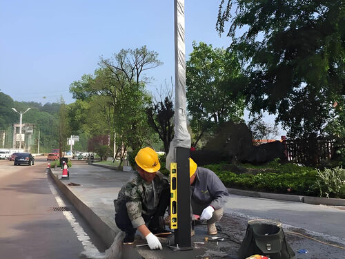 一体化太阳能庭院灯安装案例：3 米款别墅庭院免布线施工效果整体外观 | 太阳能供电 | 庭院灯整体结构展示