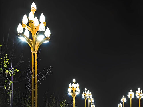 古镇 LED 中华灯 历史文化街区复古造型照明定制产品实物图