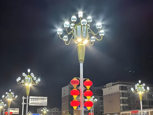 中华灯安装调试：多灯头接线规范 + 亮度均匀性调节，符合验收标准整体外观 | 通用型结构 | 中华灯整体结构展示