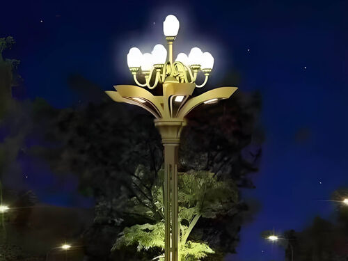 8 米高杆一体球中华灯 市政工程招标路灯产品实物图